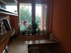 Poznań - Apartament z 3 niezależnymi pokojami